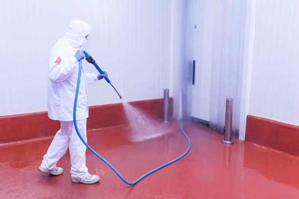 Best Roof Washing  in Milford, PA